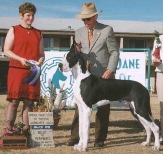 MICHAELDANE JB CLASSIC EXAMPLE